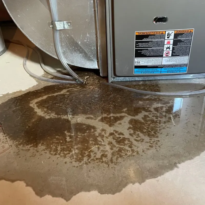 Pipe Burst and Leak Restoration in Barrington, RI