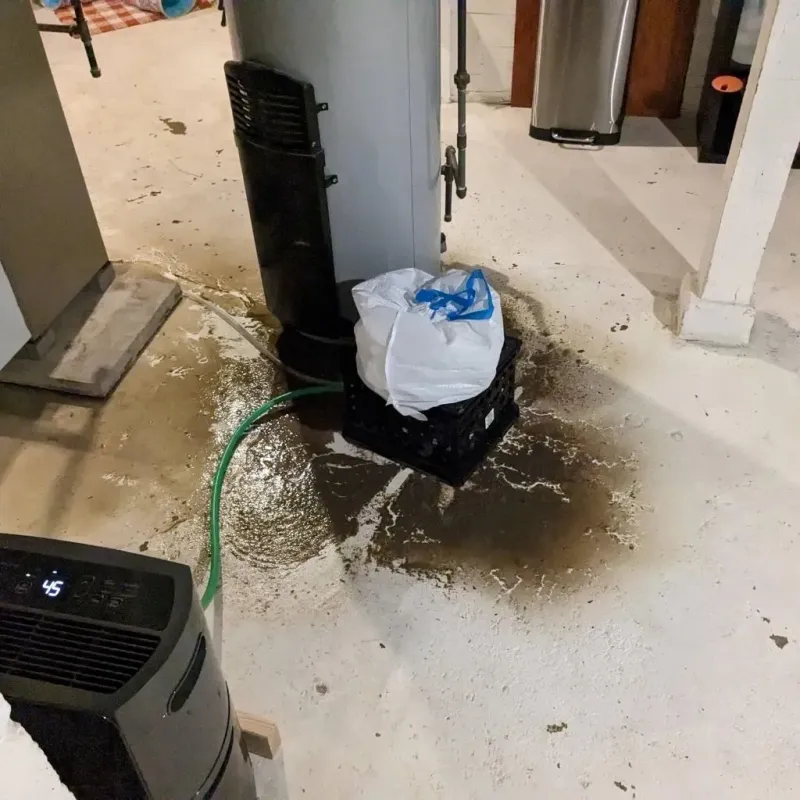 Sewage Backup Cleanup Service in Barrington, RI